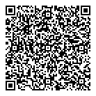 QR код "Динамо"