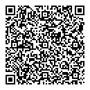 QR код "Спутник"
