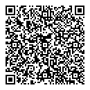 QR код "Домино"