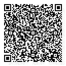QR код "Эльза"
