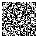 QR код "999*9"