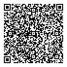 QR код "Турбо Аудит"