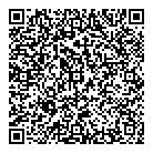 QR код "Дельфин"