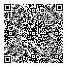 QR код "Созвездие"