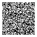 QR код "Спутник"