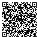 QR код "Дискобол"