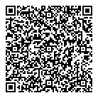 QR код "Профессионал"