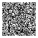 QR код "Шах"