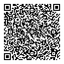 QR код "Алиса"
