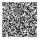 QR код "Профессионал"