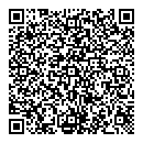QR код "Domini"