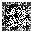 QR код "Алсу"