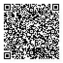 QR код "Сатурн"