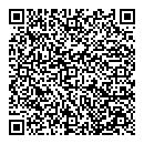 QR код "Спутник"