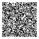 QR код "Спутник"
