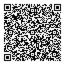 QR код "Динамо"