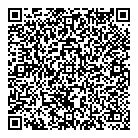 QR код "Аудит Профи"