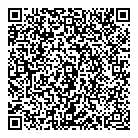 QR код "Глобус"