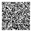 QR код "Глобус"