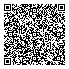 QR код "33 пингвина"