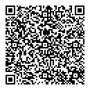 QR код "Денди"