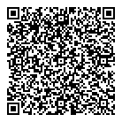 QR код "Домино"