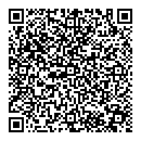 QR код "Делфи"