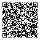 QR код "Венеция"