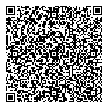 QR код "33 пингвина"