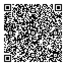 QR код "33 пингвина"