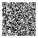 QR код "33 пингвина"