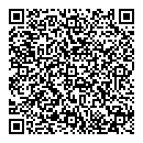 QR код "Алсу"