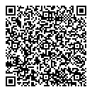 QR код "Сатурн"