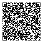 QR код "Анеси"