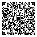 QR код "Ариэль"