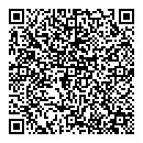 QR код "Купол"