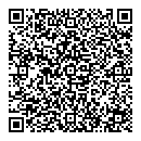 QR код "38 попугаев"