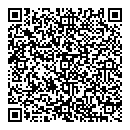 QR код "Домино"