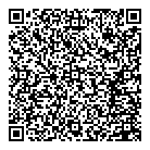 QR код "Профессионал"