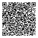 QR код "Алиса"