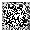 QR код "Лебедь"