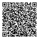 QR код "Добрынинский"