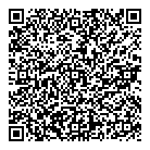 QR код "Свет"