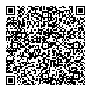QR код "Блеск"