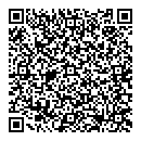 QR код "TWIN-CAM"