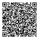QR код "Мир"