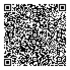 QR код "Laser Hunter"