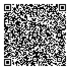 QR код "Лавина-Сервис"