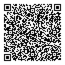 QR код "Ромашка"