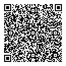 QR код "Ромашка"